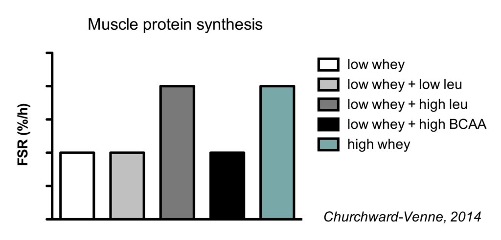 Muscle protein synthesis following whey, leucine and BCAA supplementation