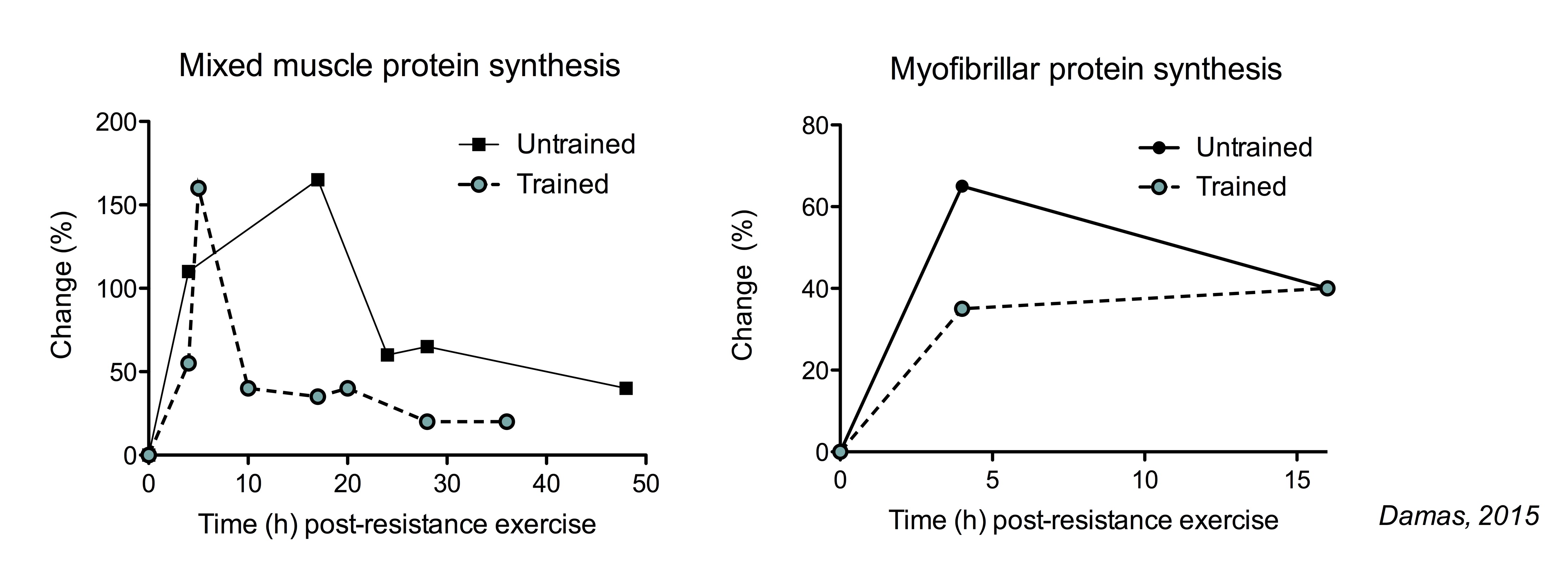 Is Muscle Protein Synthesis the Same as Muscle Growth?