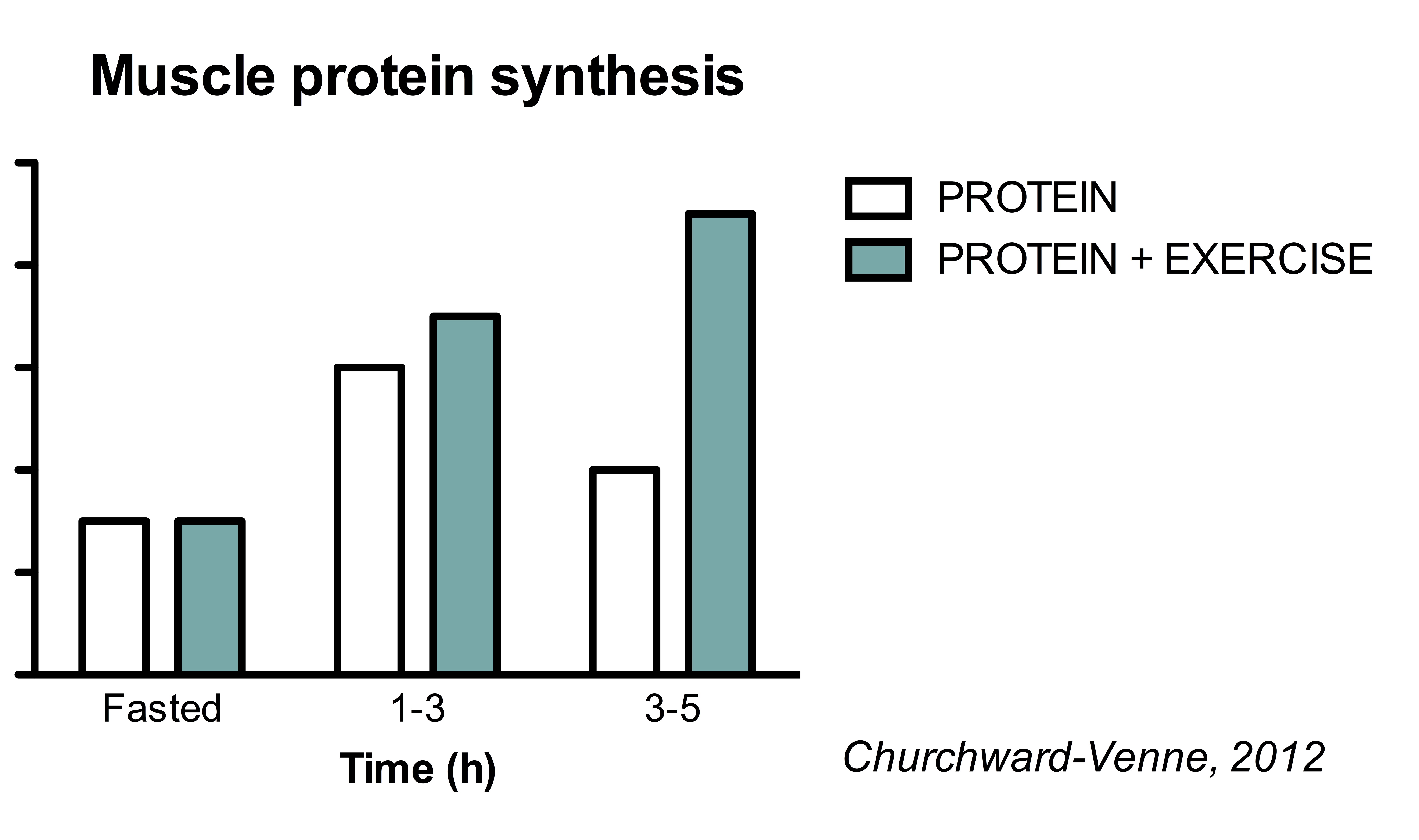 The Ultimate Guide to Muscle Protein Synthesis