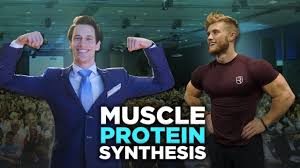 Muscle protein synthesis