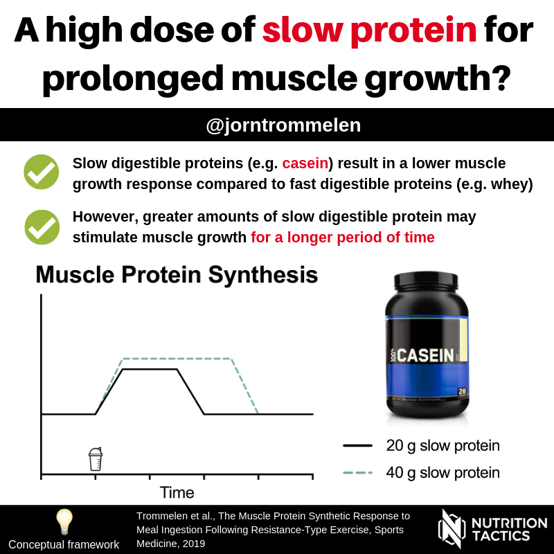 A high dose of slow protein for prolonged muscle growth