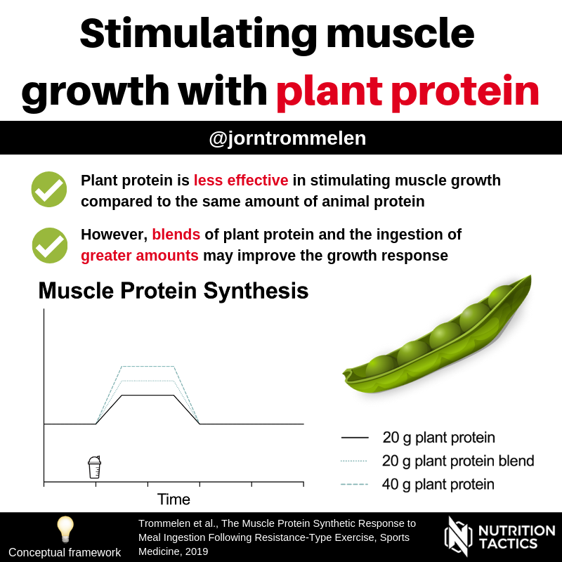 stimulating muscle growth with plant protein