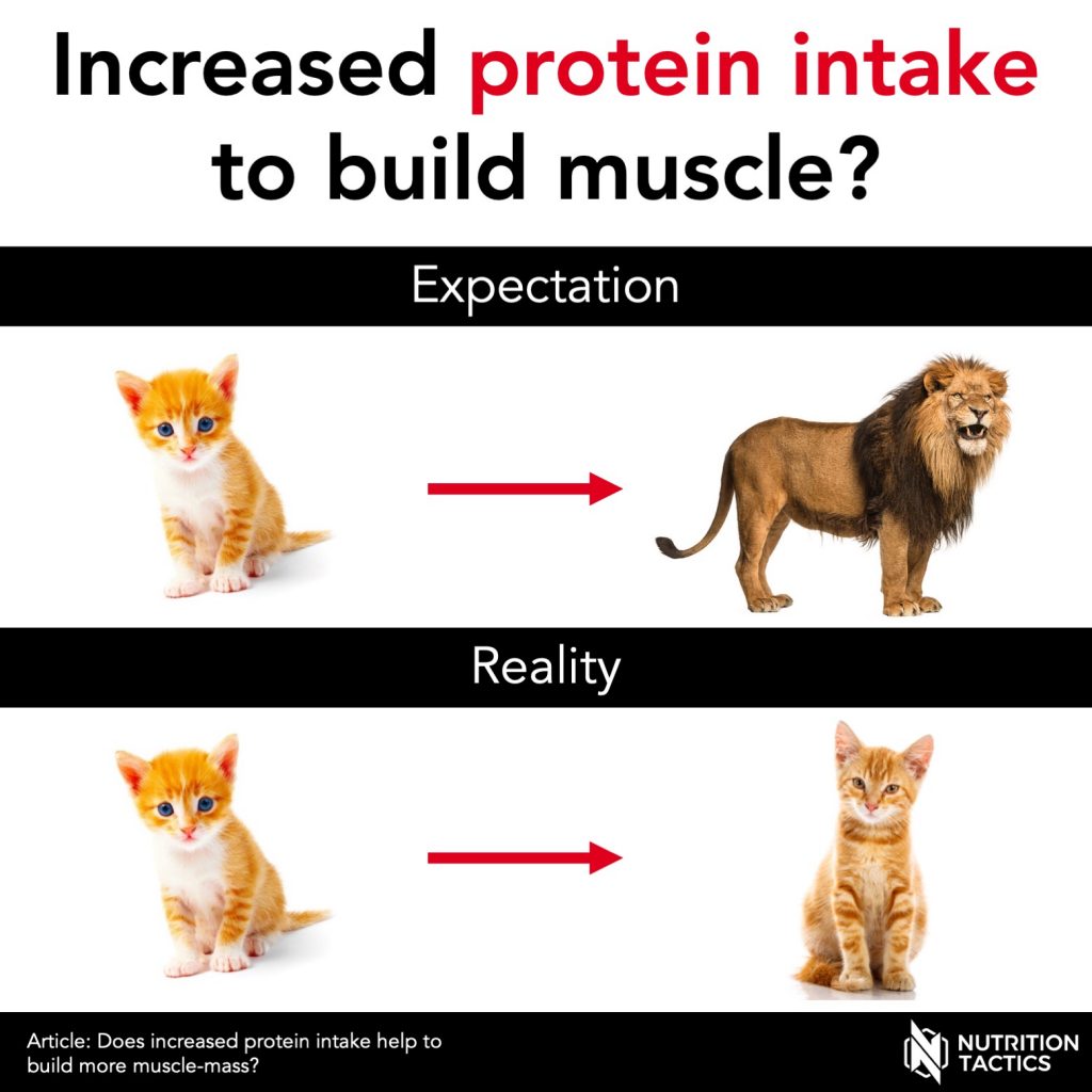 Protein supplementation muscle meme
