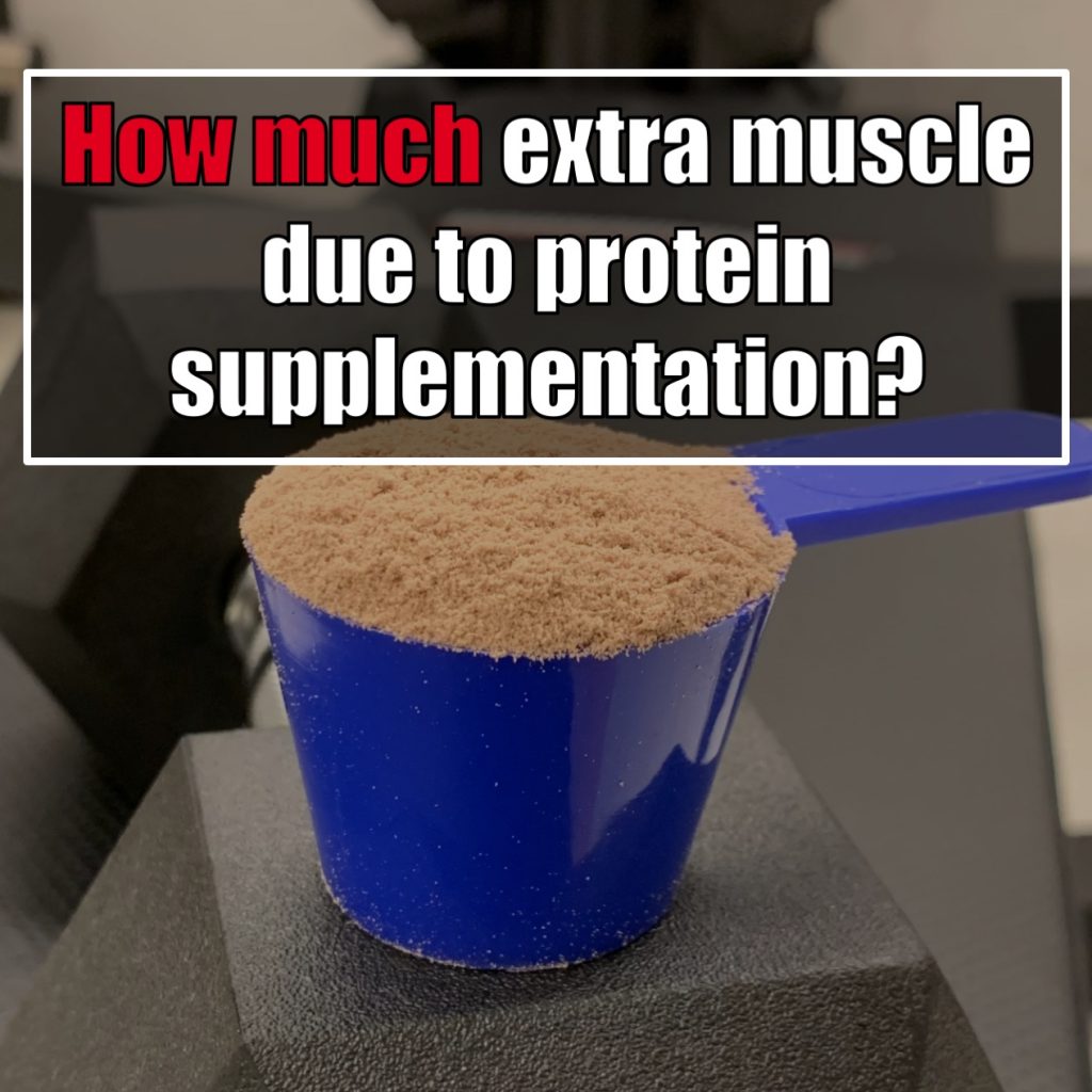 Protein supplementation build muscle