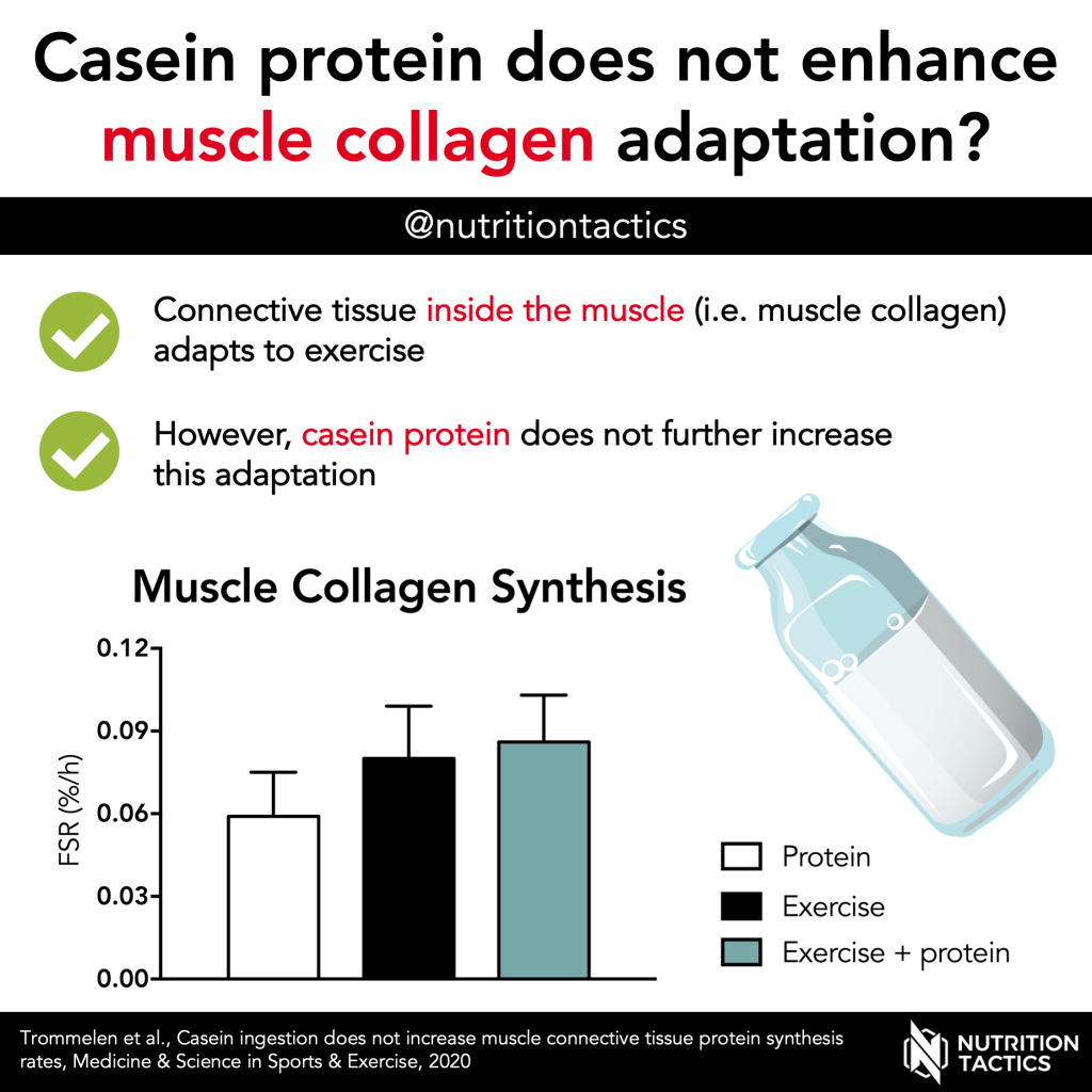 Casein protein does not enhance muscle collagen adaptation? infographic