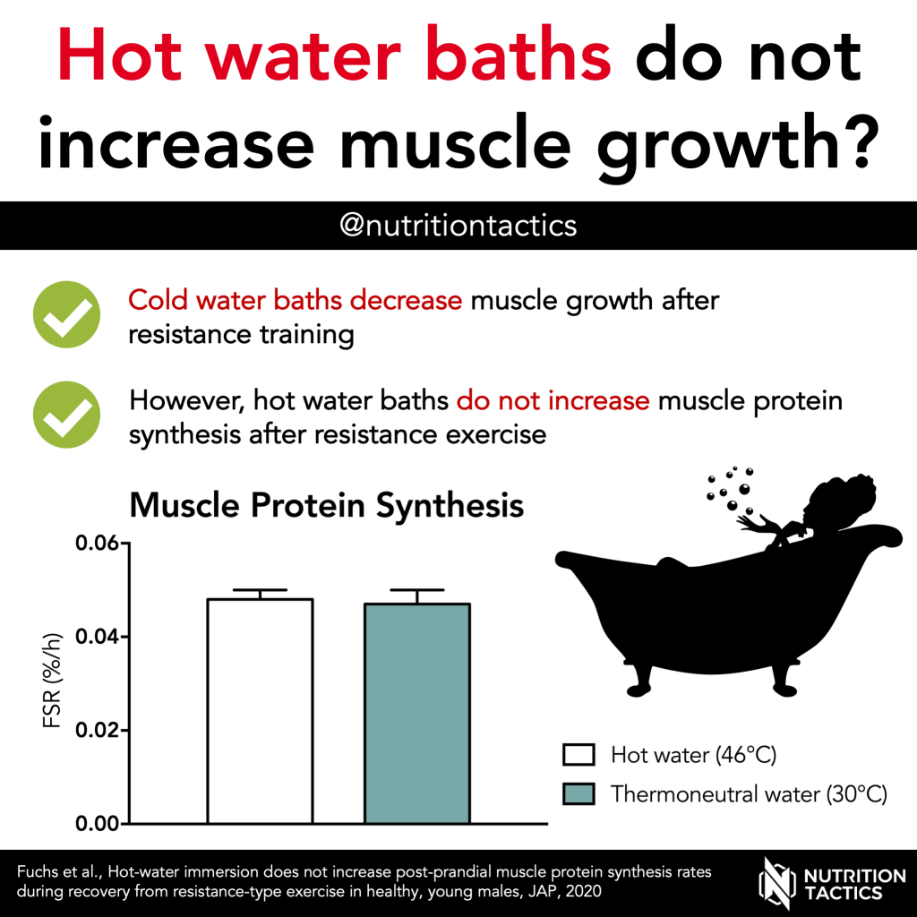 Hot water baths do not increase muscle growth? Infographic