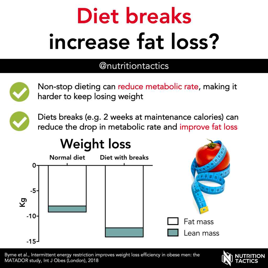 Diet breaks increase fat loss? Infographic