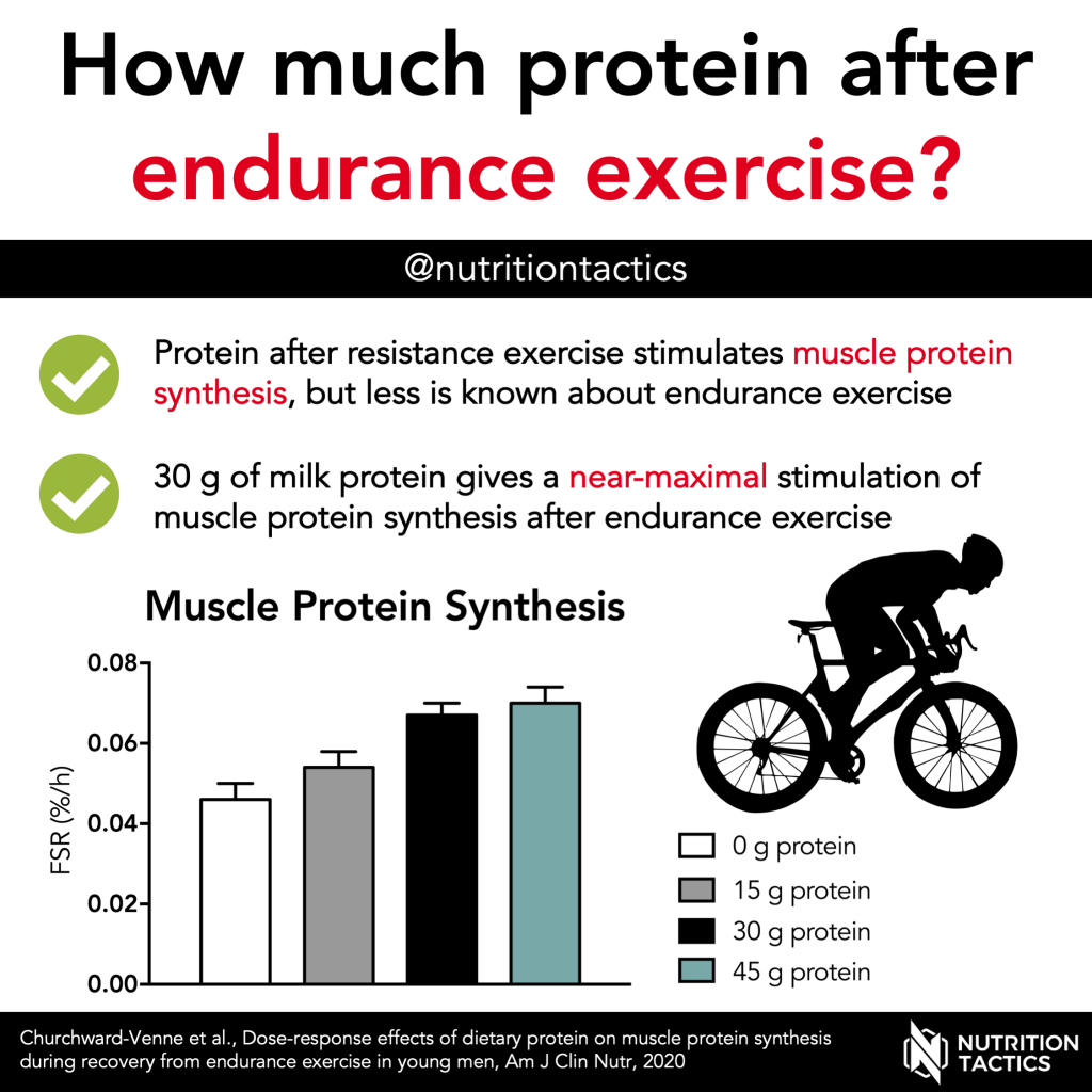 How much protein after endurance exercise? Infographic