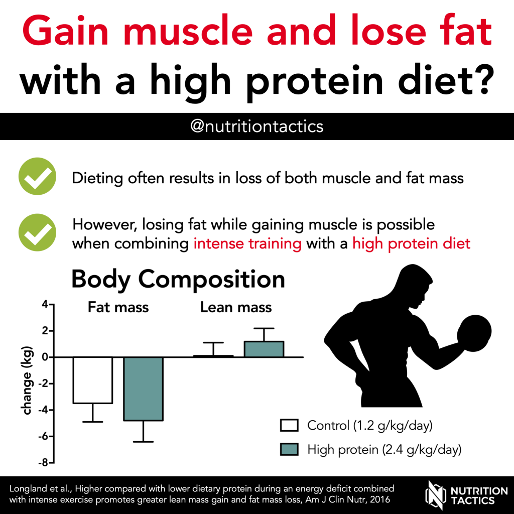 Gain muscle and lose fat with a high protein diet? infographic