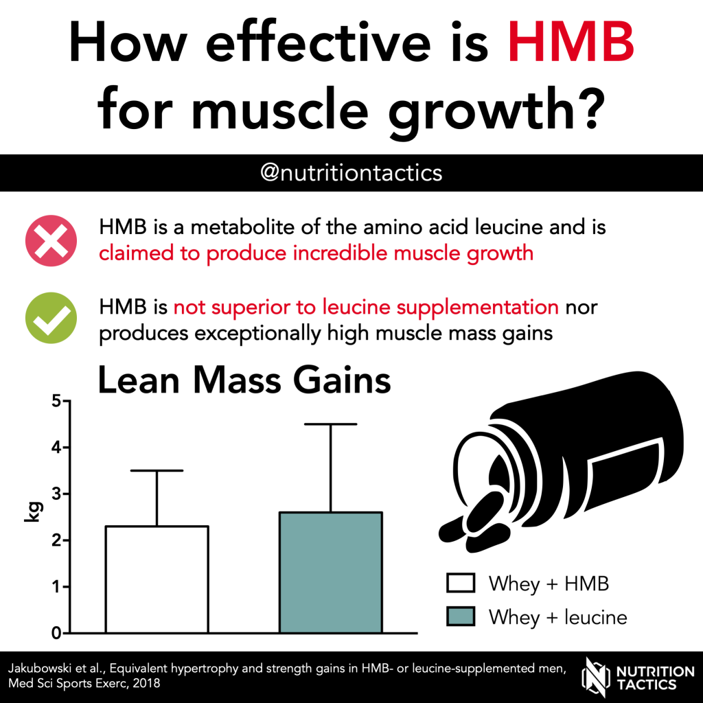 How effective is HMB for muscle growth? Infographic