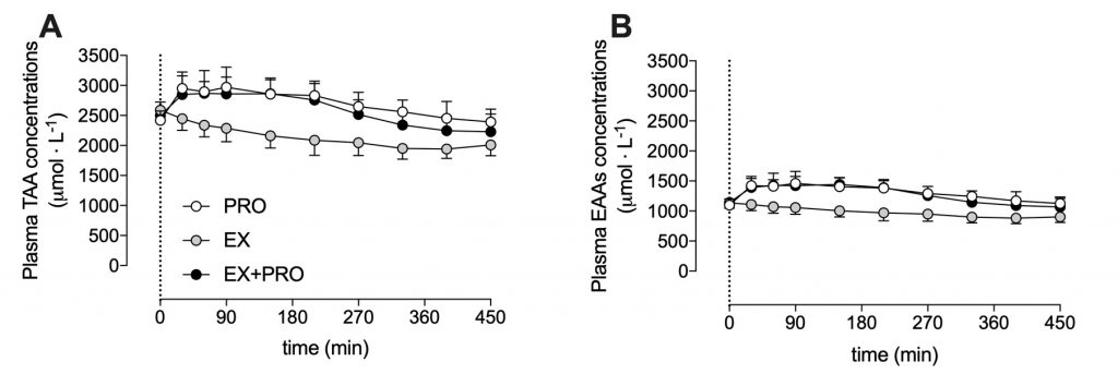 Plasma amino acids muscle collagen protein synthesis