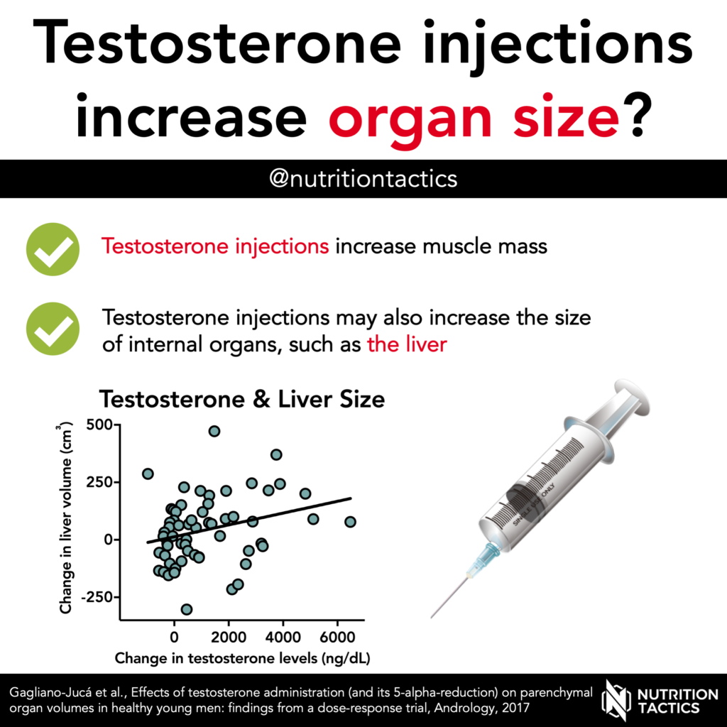 Testosterone injections increase organ size? Infographic