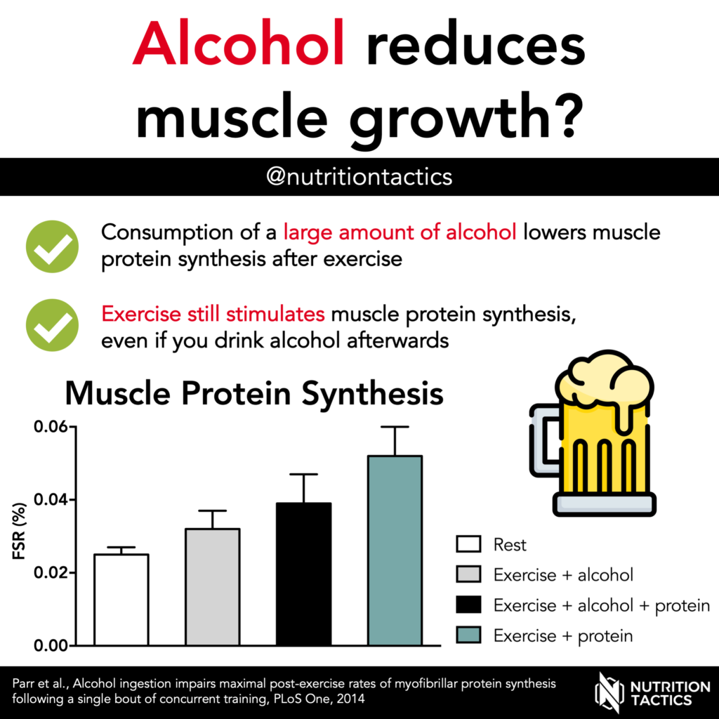 Alcohol Consumption And Muscle Mass