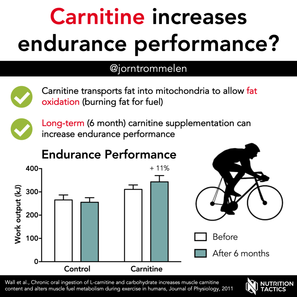 Carnitine increases endurance performance? Infographic