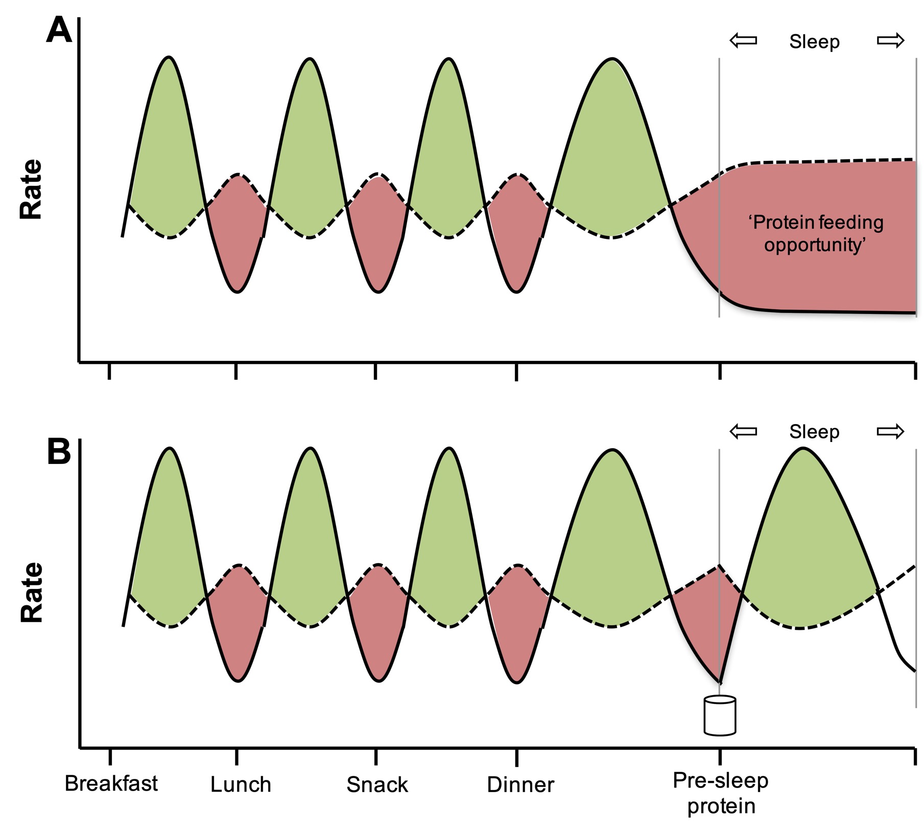 Protein Loading Nutrition Tactics - Health and Fitness