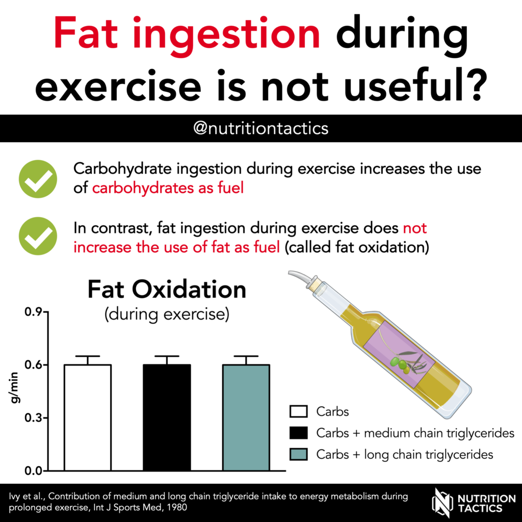 fat ingestion and oxidation during exercise infographic