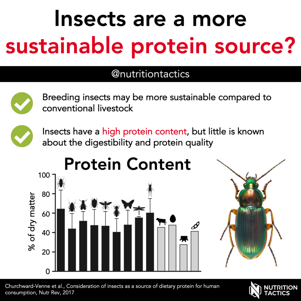 Infographic Insects are a more sustainable protei source?