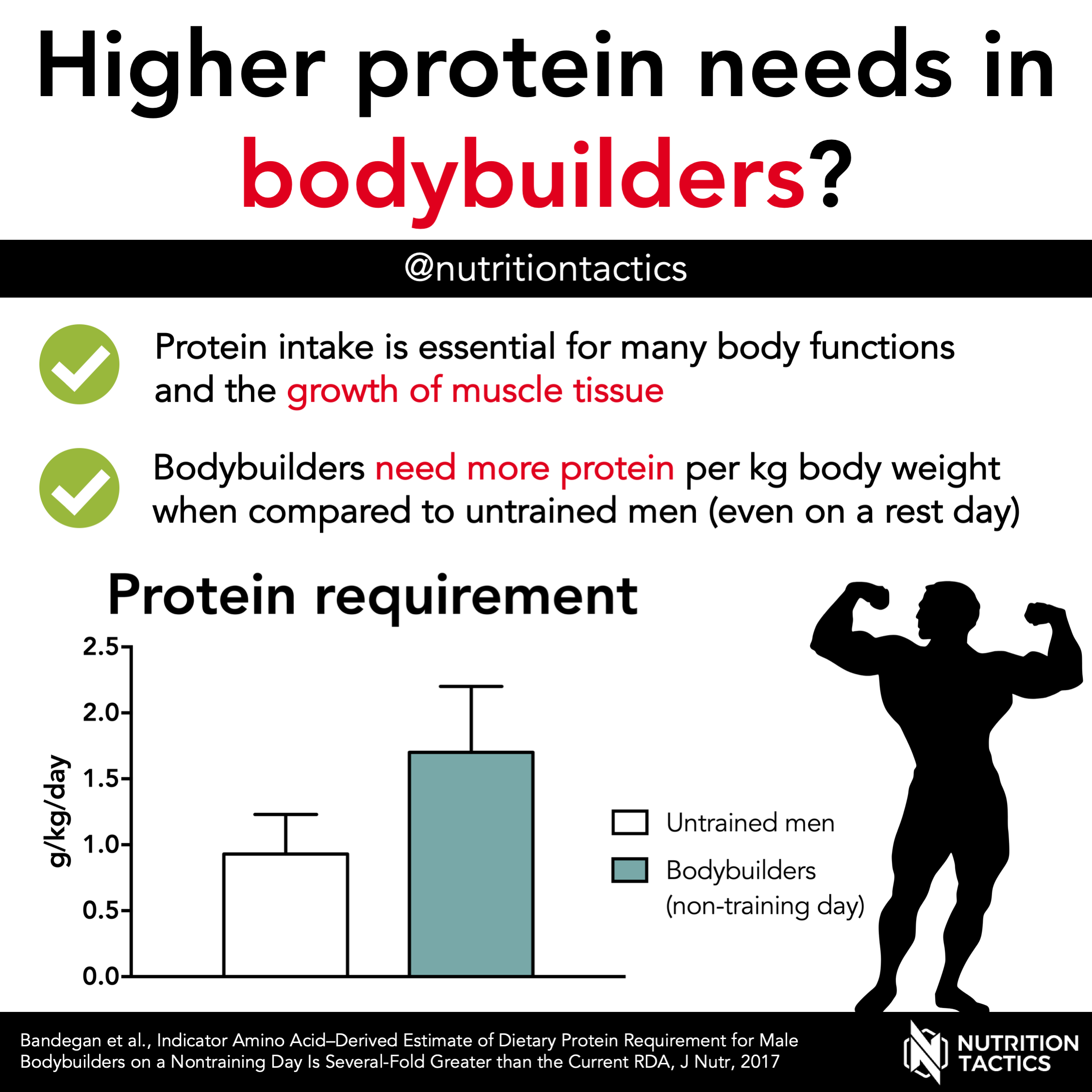 Higher protein needs in bodybuilders?