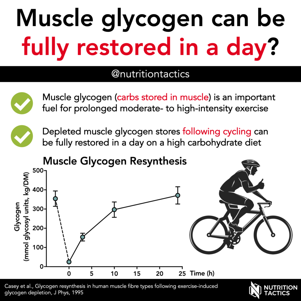 Muscle glycogen can be fully restored in a day? Yes, when eating enough carbs. Infographic
