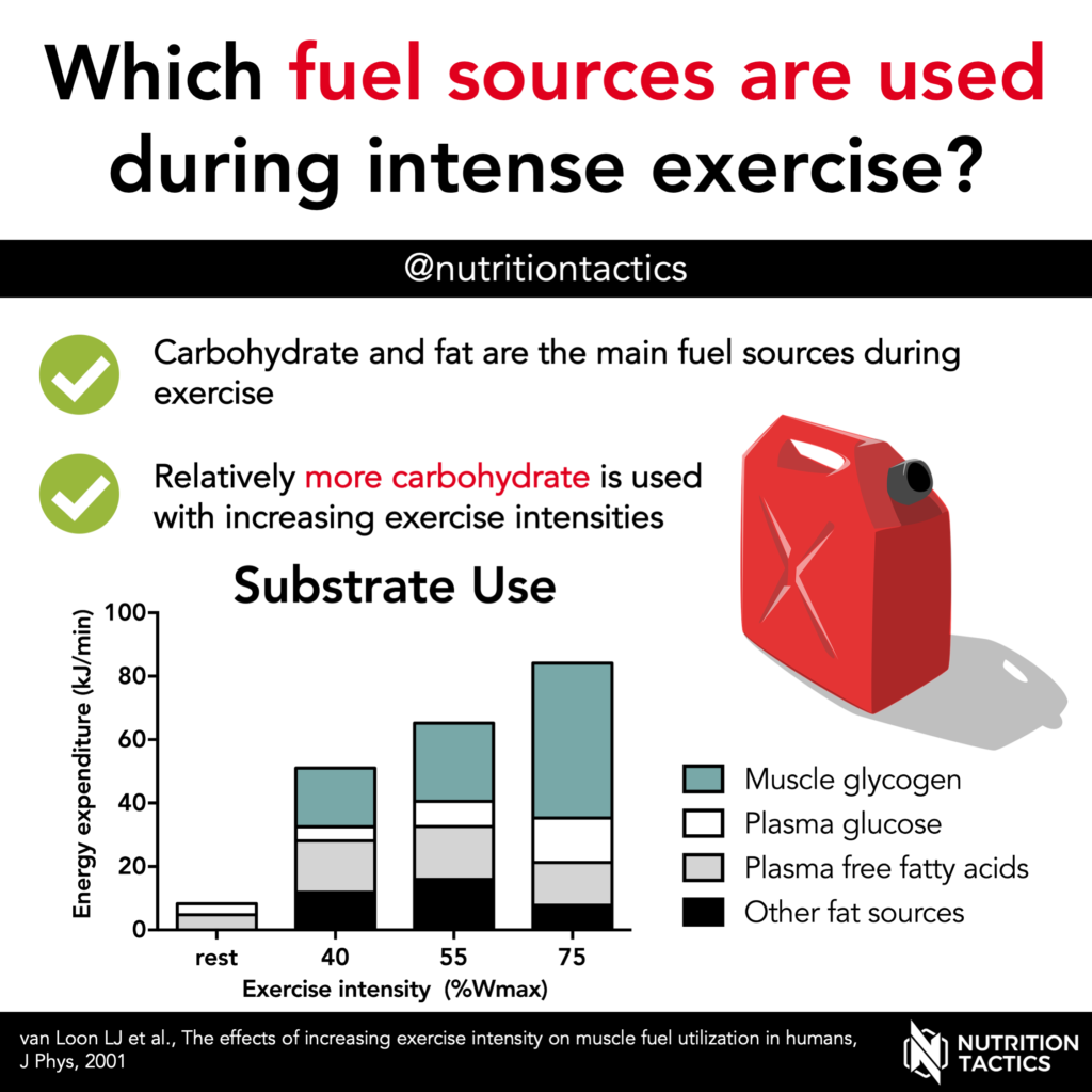 What fuel sources are used during exercise?