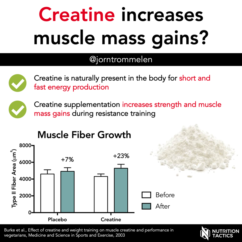 Creatine increases muscle mass gains? Yes.