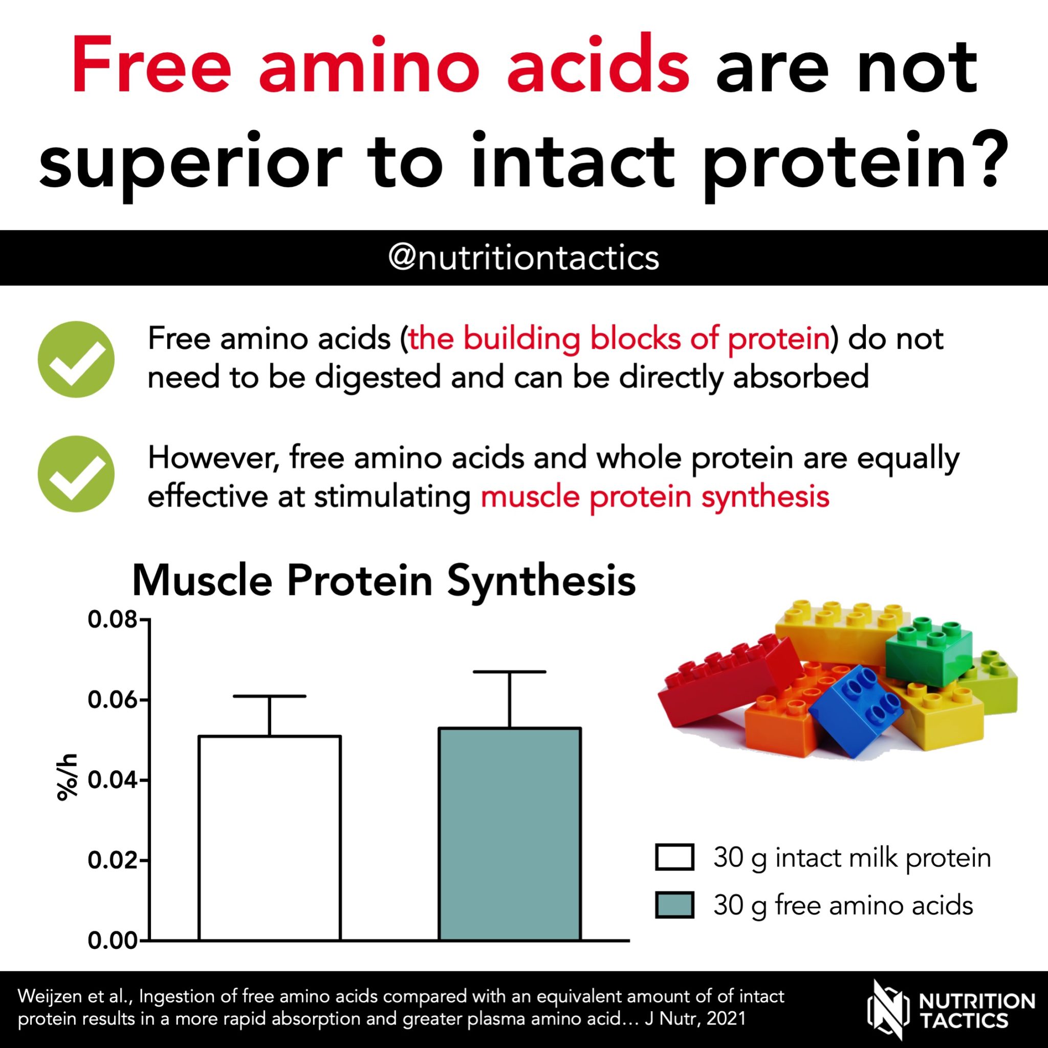 Amino Acid Free Base Vs Hydrochloride – SQMKS