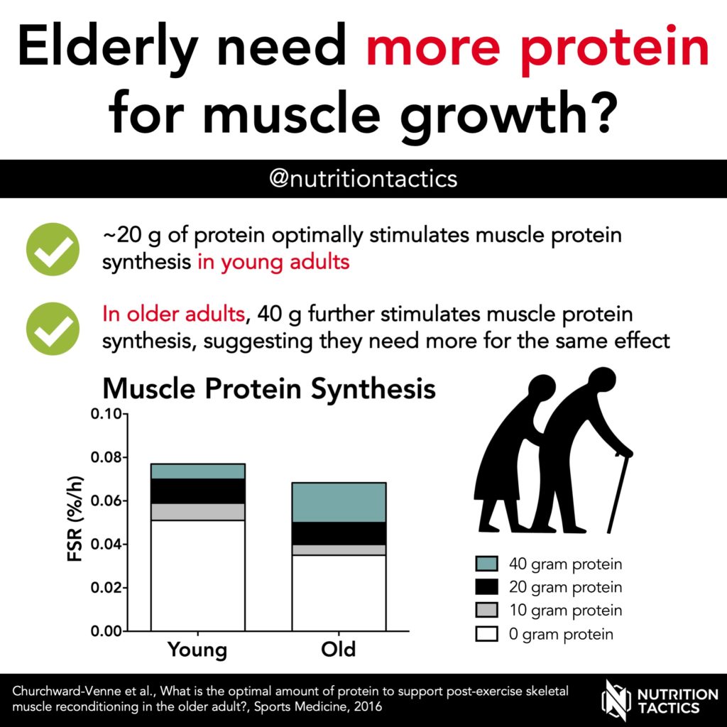 Elderly need more protein for muscle growth? Yes