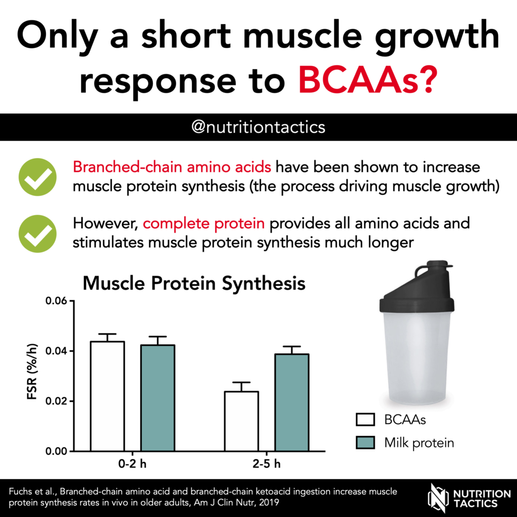 Only a short muscle growth response to BCAAs?