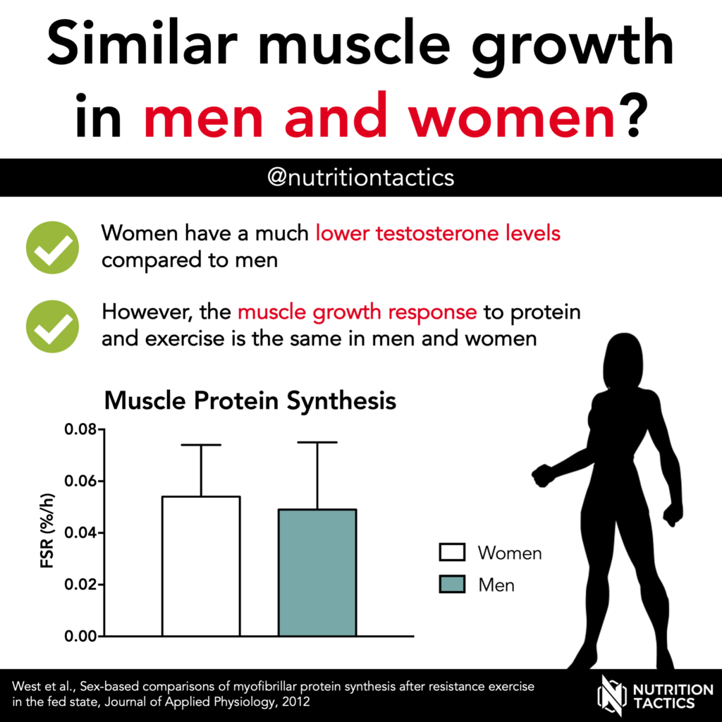 Similar muscle growth in men and women? Yes