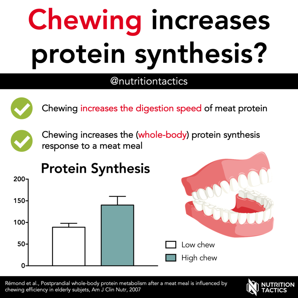 Chewing increases protein synthesis?