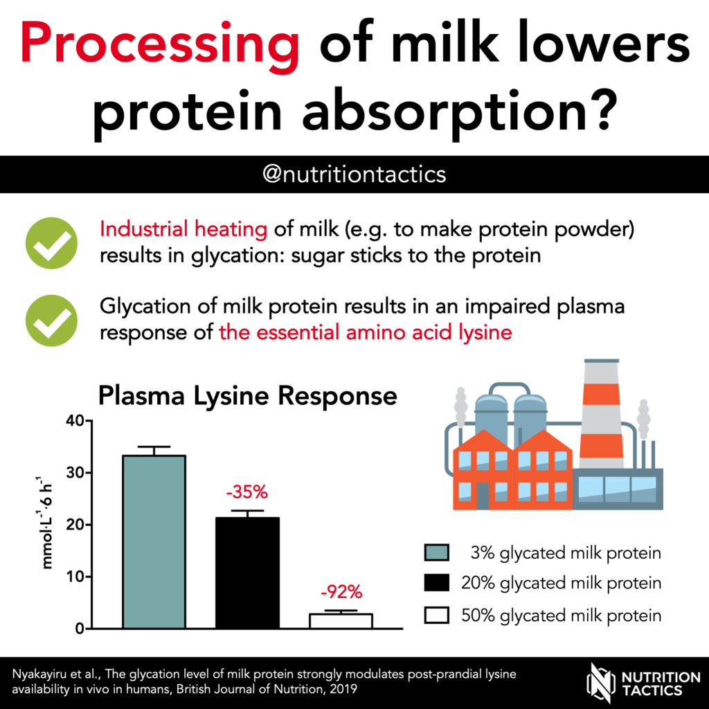 Processing of milk lowers protein absorption? Yes.