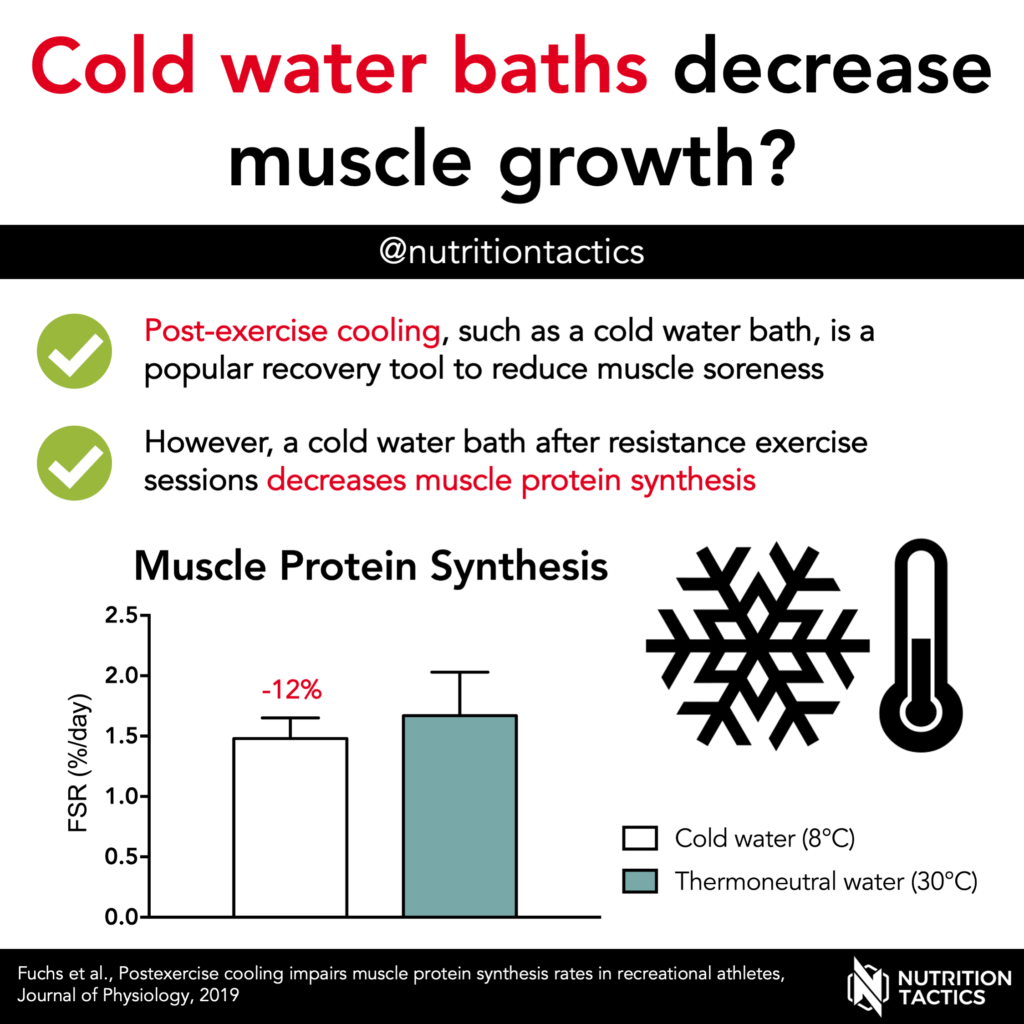 Cold water baths decrease muscle growth? Yes