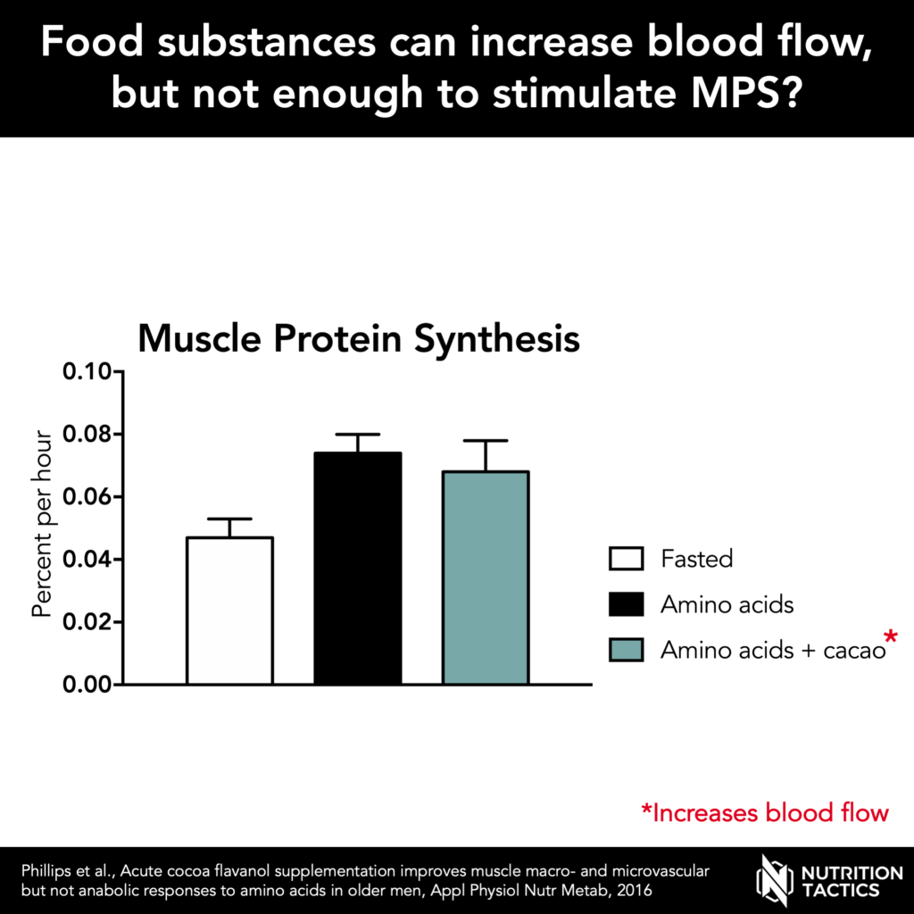 Blood flow and muscle protein synthesis