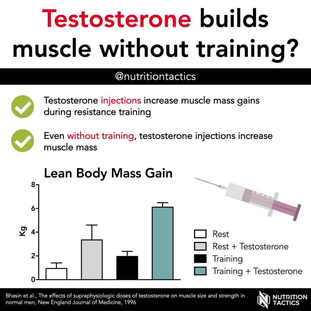 Testosterone builds muscle without training? Yes - Infographic