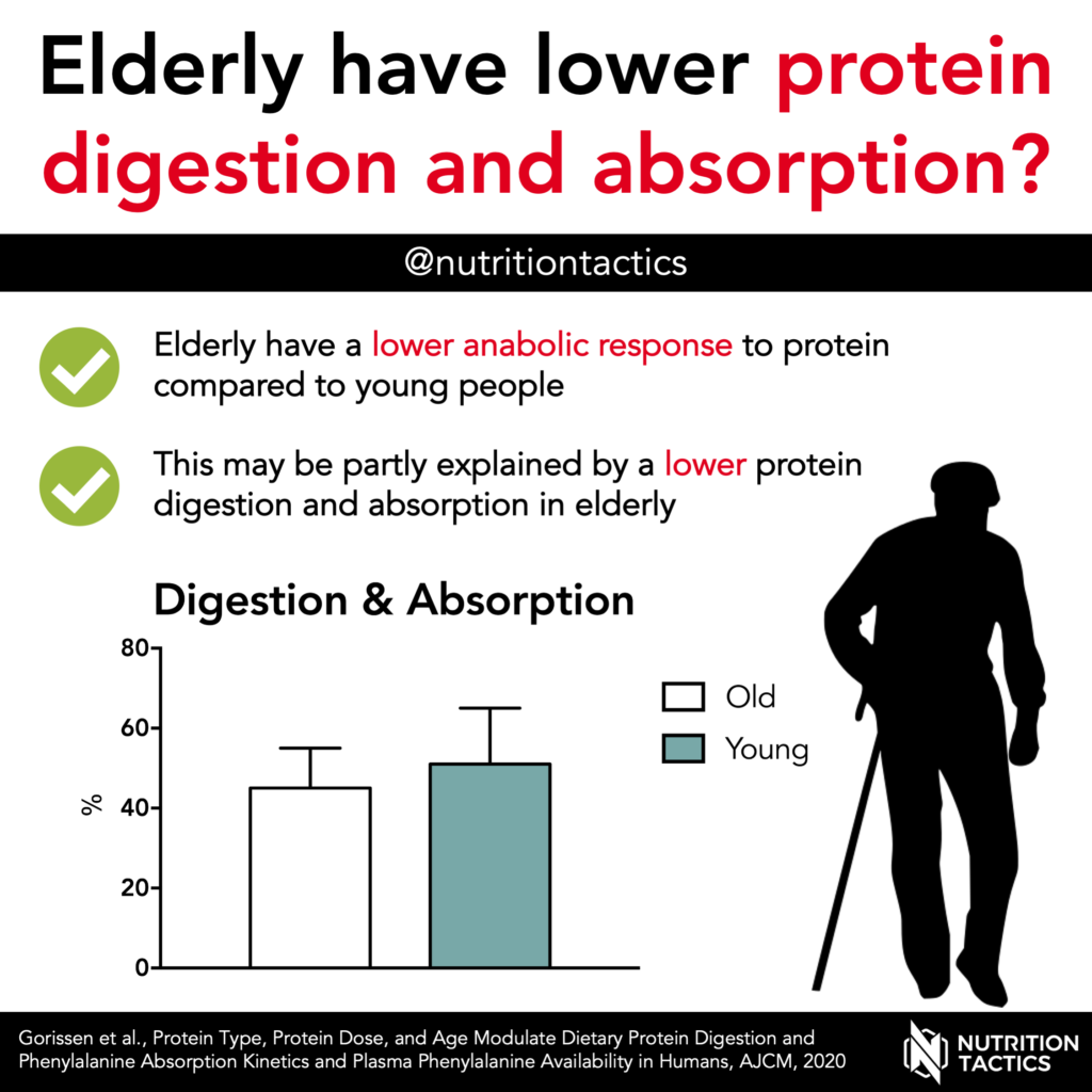 Elderly have lower protein digestion and absorption