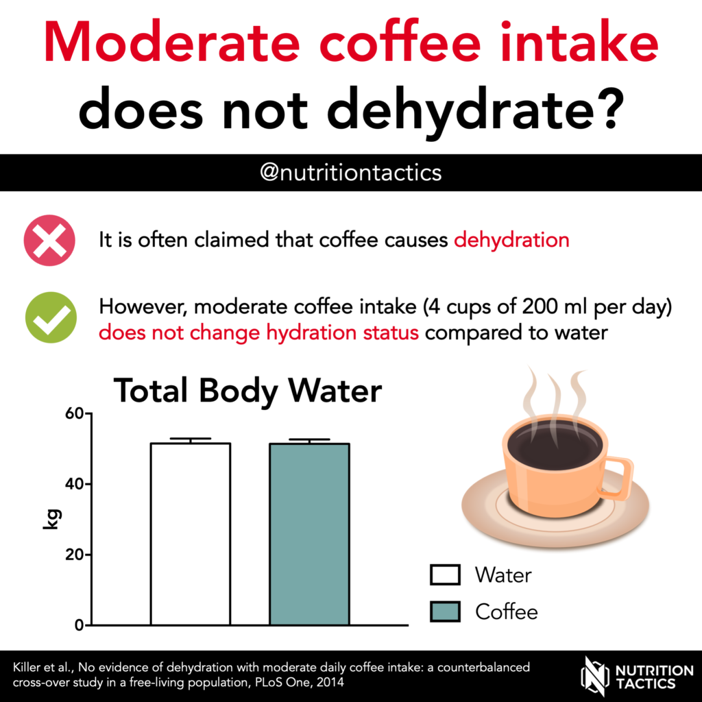 Moderate coffee intake does not dehydrate? No. Infographic