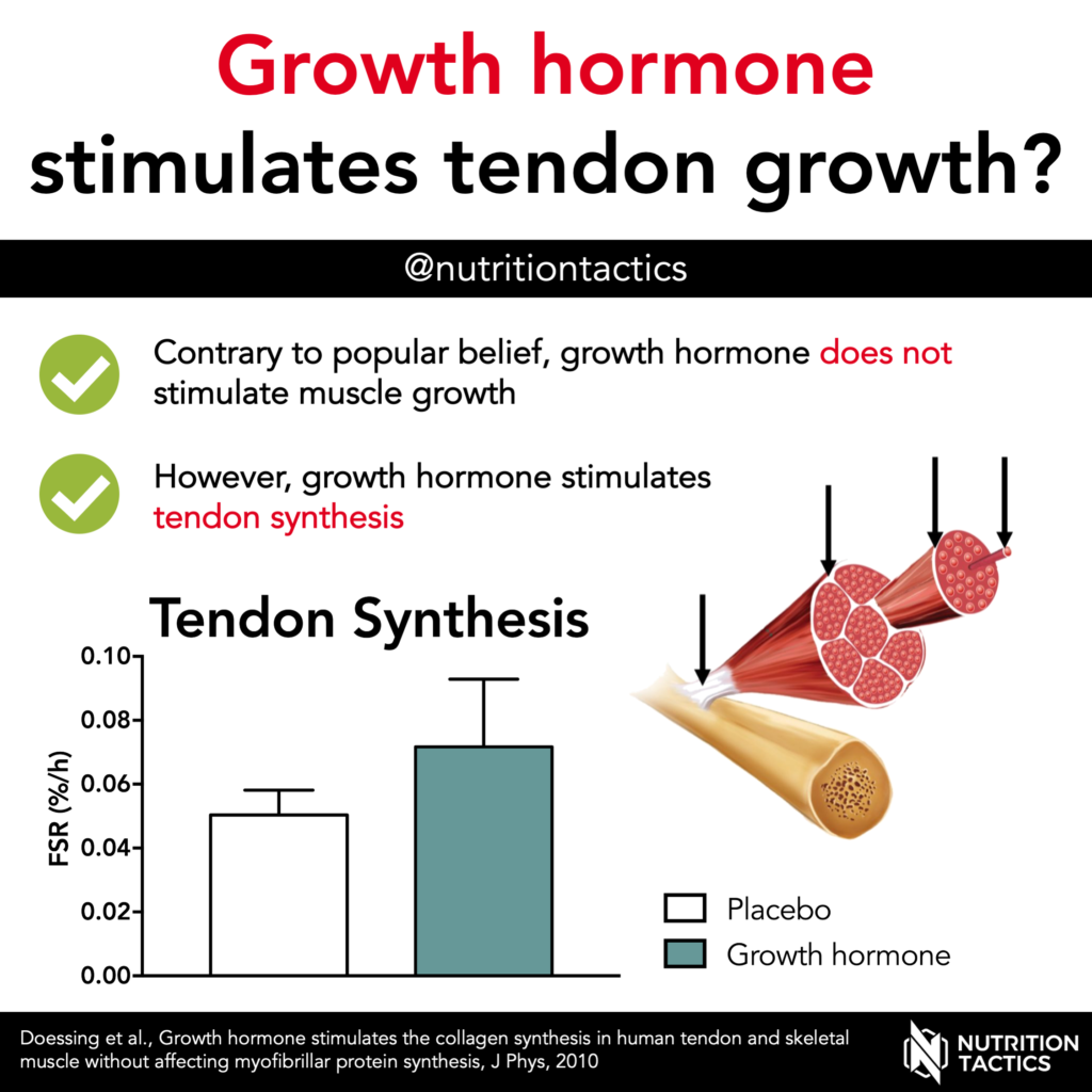 Growth hormone stimulates tendon growth? Yes. Infographic