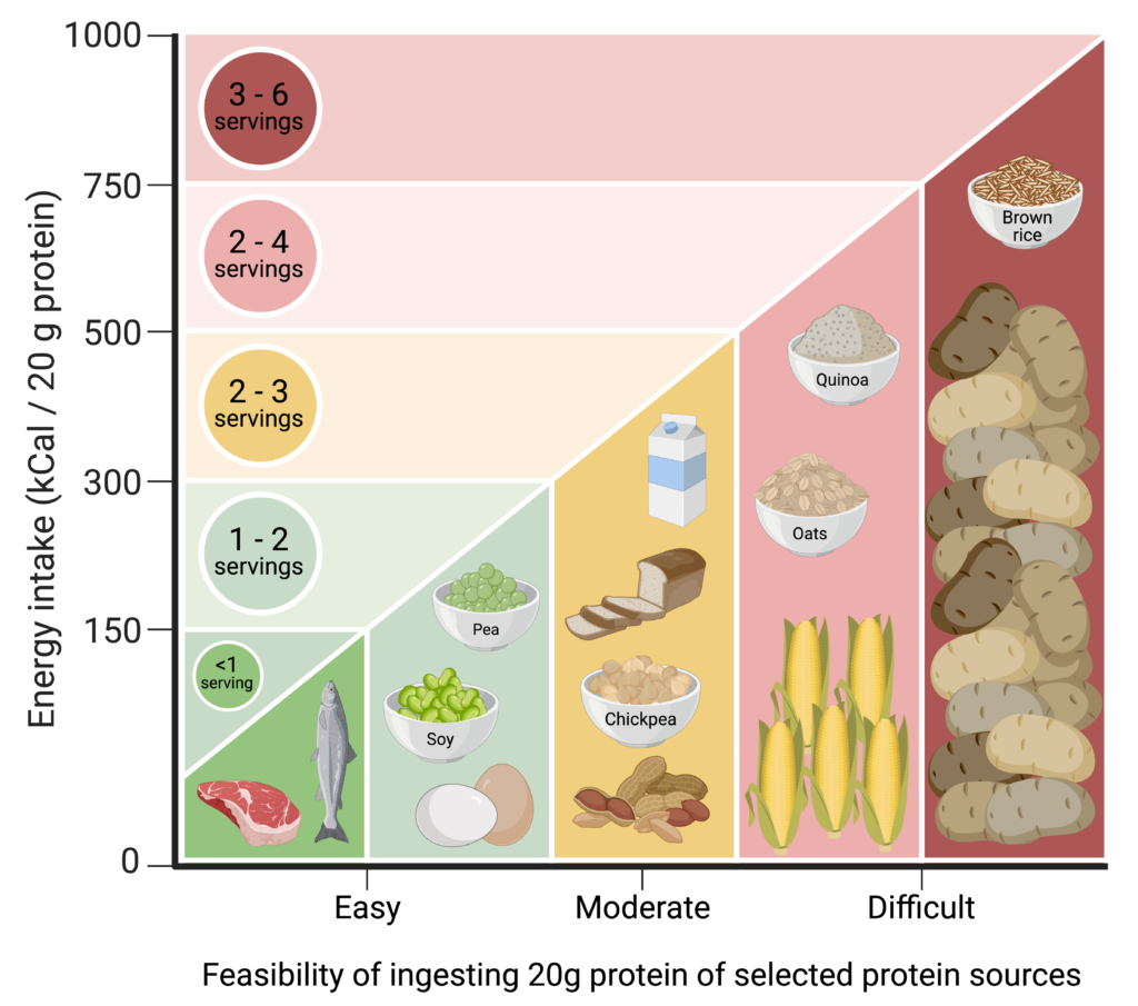 Plant protein density infographic